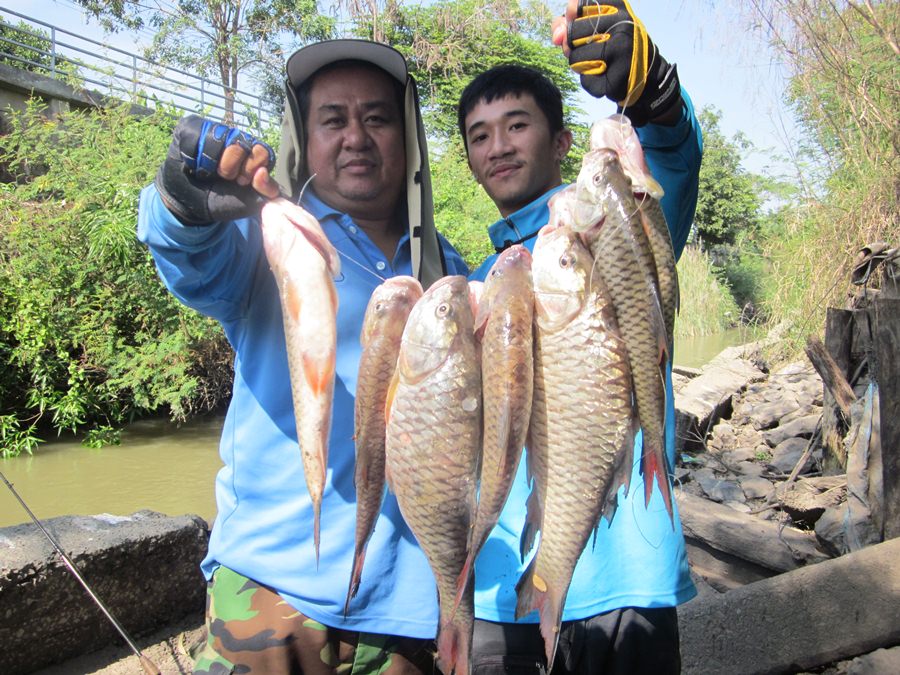 .....Fishing Easy...กระสูบใหญ่น้ำไหล...ใครๆก็...Like...มันส์ๆๆ.....