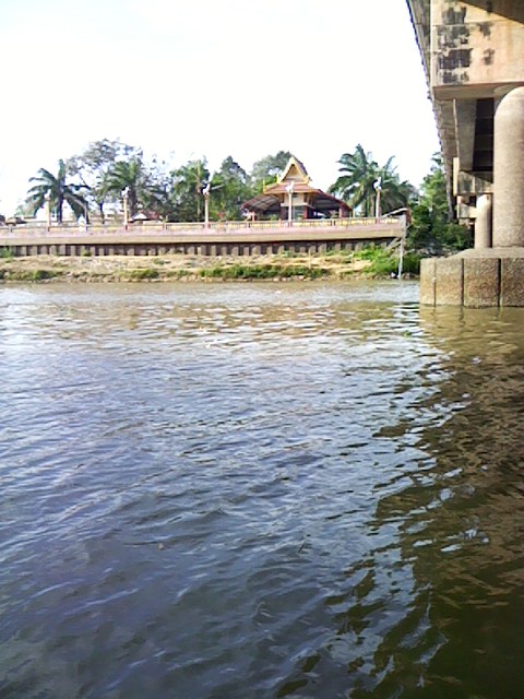 กระสูบยามเย็น ก่อนกลับมหาลัย(สะพานวัดแก้ว ปจ) 6/1/13 