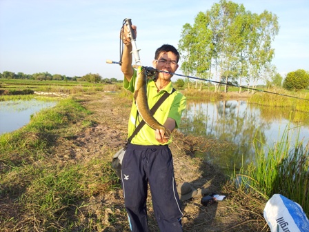 ผมงานกบข้าวเหนียว หลังเลิกงานวันนี้เองครับ