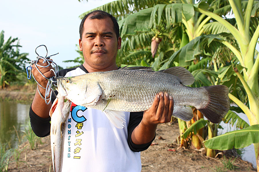 กระพงซิงแปดริ้ว 3 กพ.แก้ไขครับ