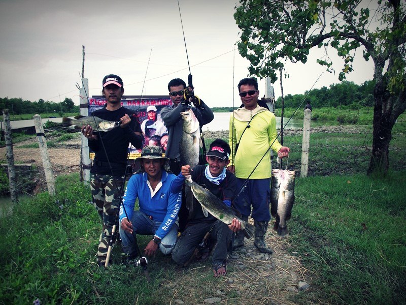 FIGHTING BARRAMUNDI  PART II  