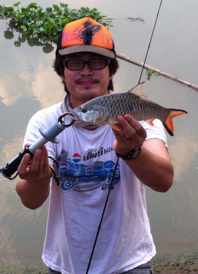 นิดหน่อยกับวันหยุด