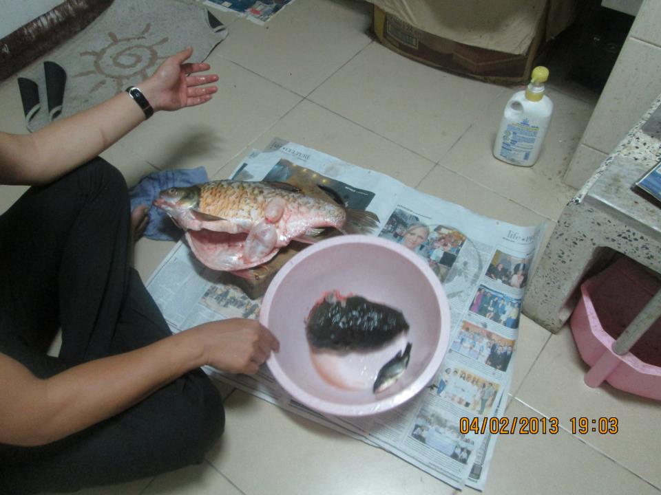 ลาบปลาตะเพียน ลาบเหนือ สูตรเจียงฮาย