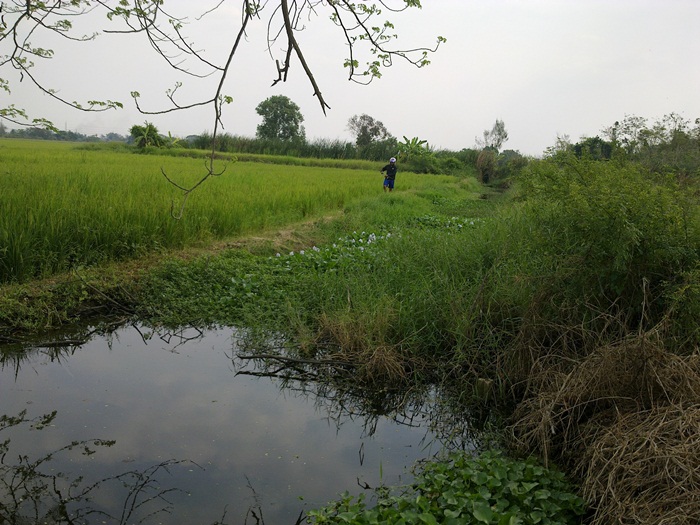 @ วิ่งไปเรื่อยตามข้างทาง @