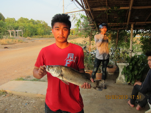 บ่อน้องพลอย1