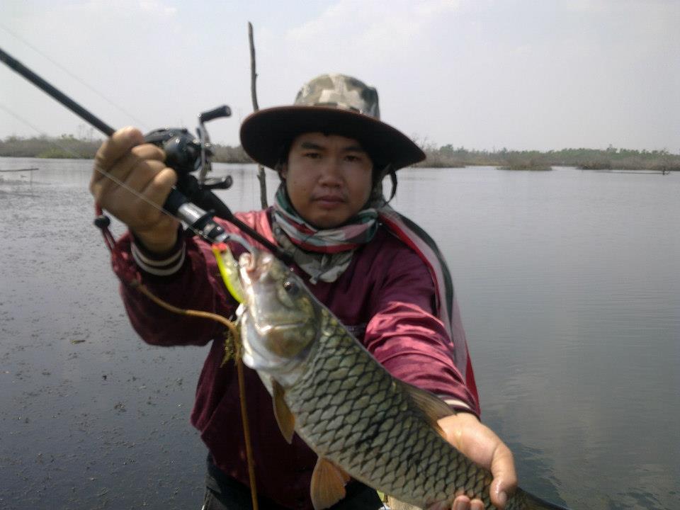 กระสูบธาตุพนม มันจุงเบย