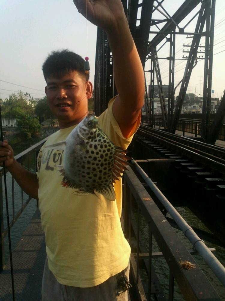 เปลี่ยนแนว...บนสะพานรถไฟราชบุรีดูบ้างคับ