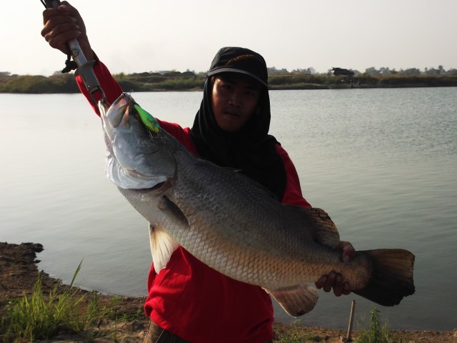 Rut yudya Fishing Club กระพง อีกแล้ว