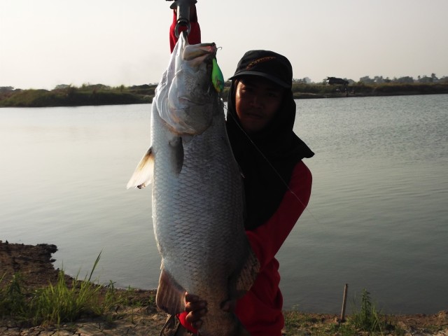 Rut yudya Fishing Club กระพง อีกแล้ว