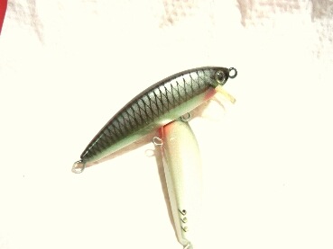 Minnow สีบ้านน๊อก บ้านนอก