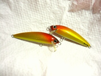 Minnow สีบ้านน๊อก บ้านนอก