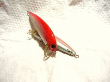 Minnow สีบ้านน๊อก บ้านนอก