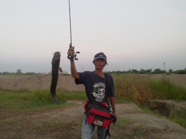 ......Texas Rig...ๆ..