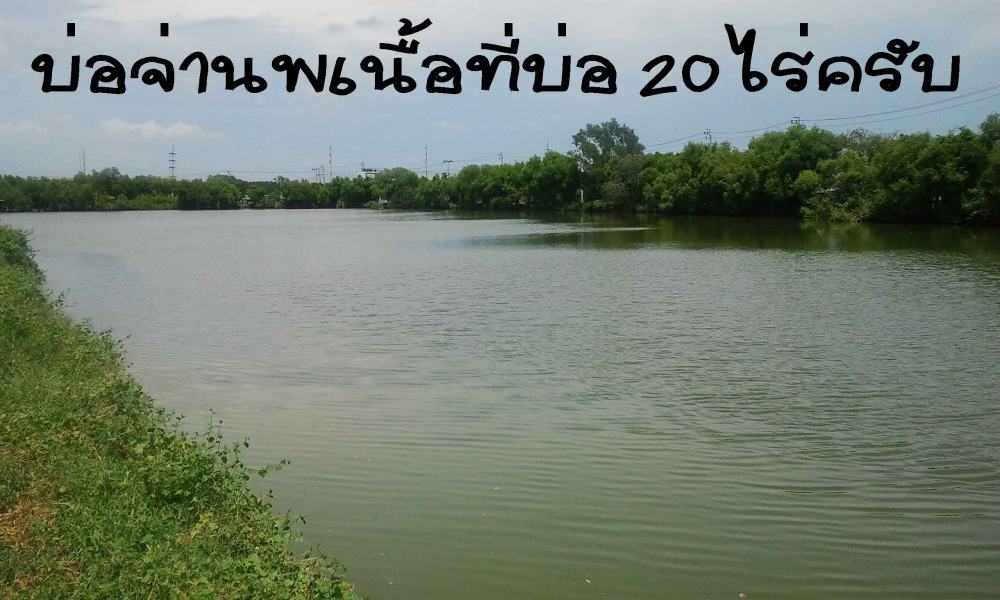 กระพงเทียนทะเล 12 พ.ค. นี้