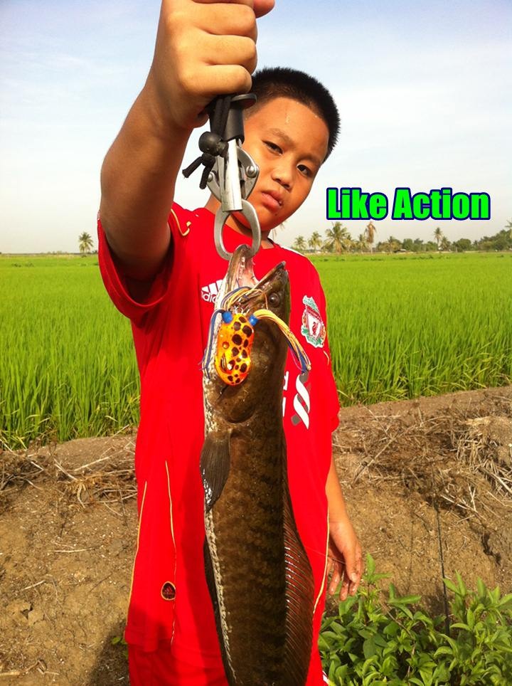 เทสกบ Like Action เมื่อวันวาน 