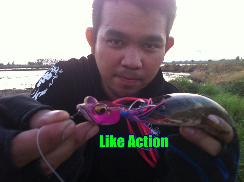 เทสกบ Like Action เมื่อวันวาน 