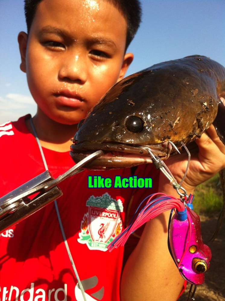 เทสกบ Like Action วันนี้เลยครับ