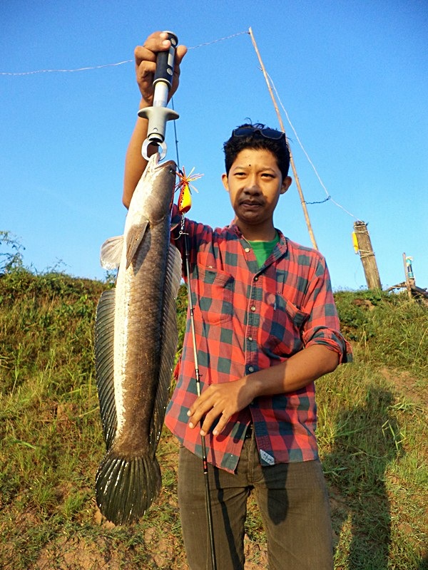 โนนสูง ยังพอได้ตัว