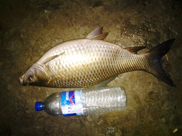 ตลุยไอ้รถถัง ภาค 1