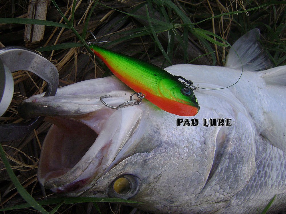 TEST PAO LURE