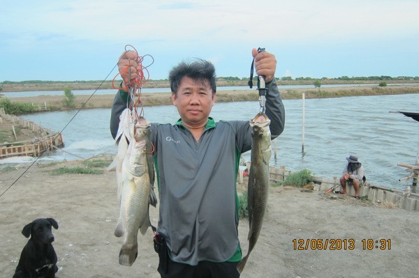 บ่อน้องพลอย 1  วันที่ 12 พฤษภาคม 2556 