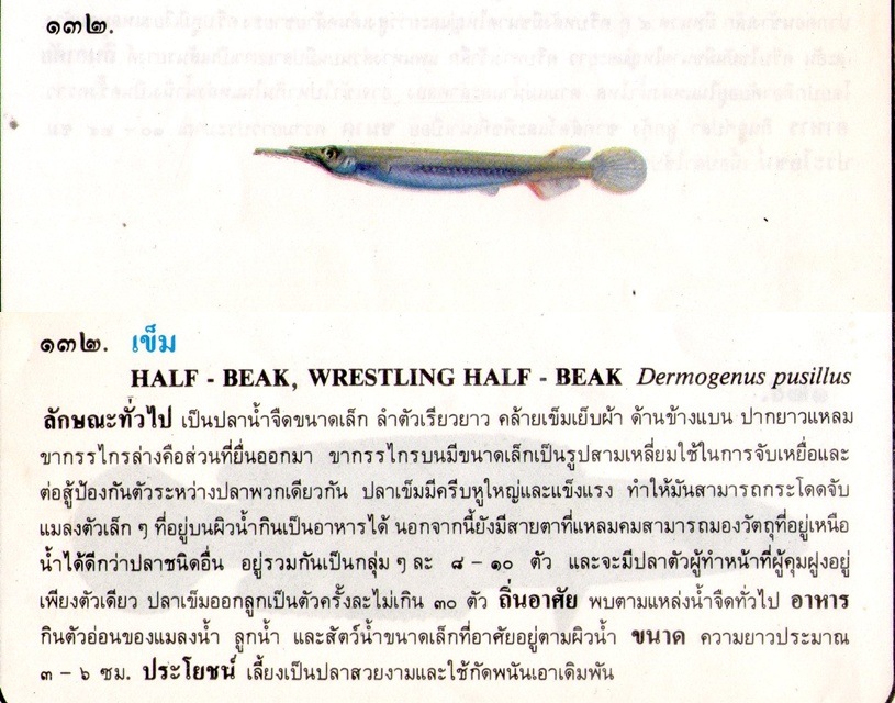 ขอมูลปลาไทย จากหนังสือภาพปลาและสัตว์น้ำของไทย (กรมประมง)