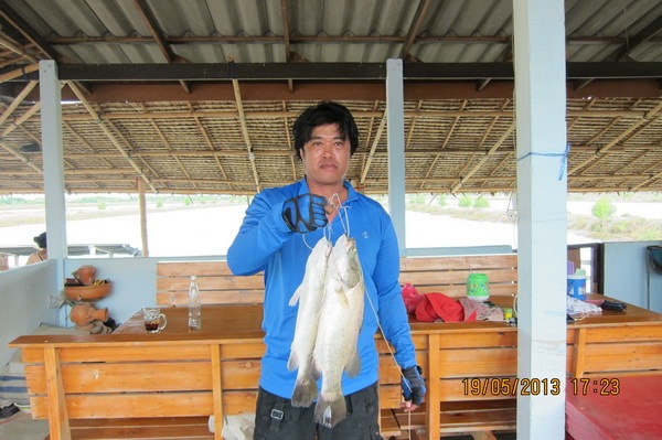 บ่อตกปลาน้องพลอย 1 วันที่19 พฤษภาคม 2556