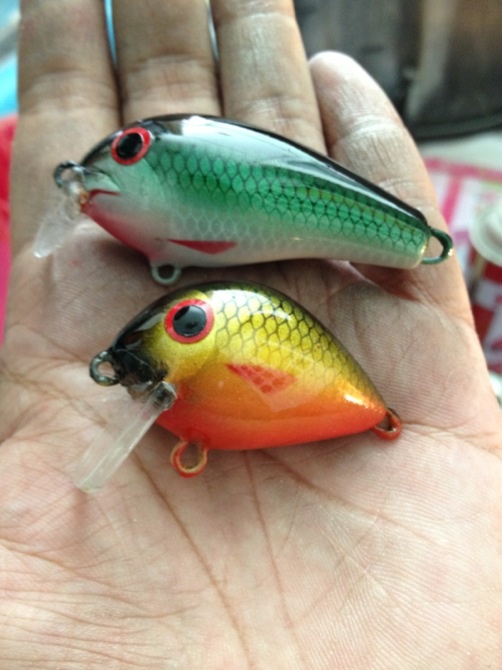 RAPALA JEED EDITION