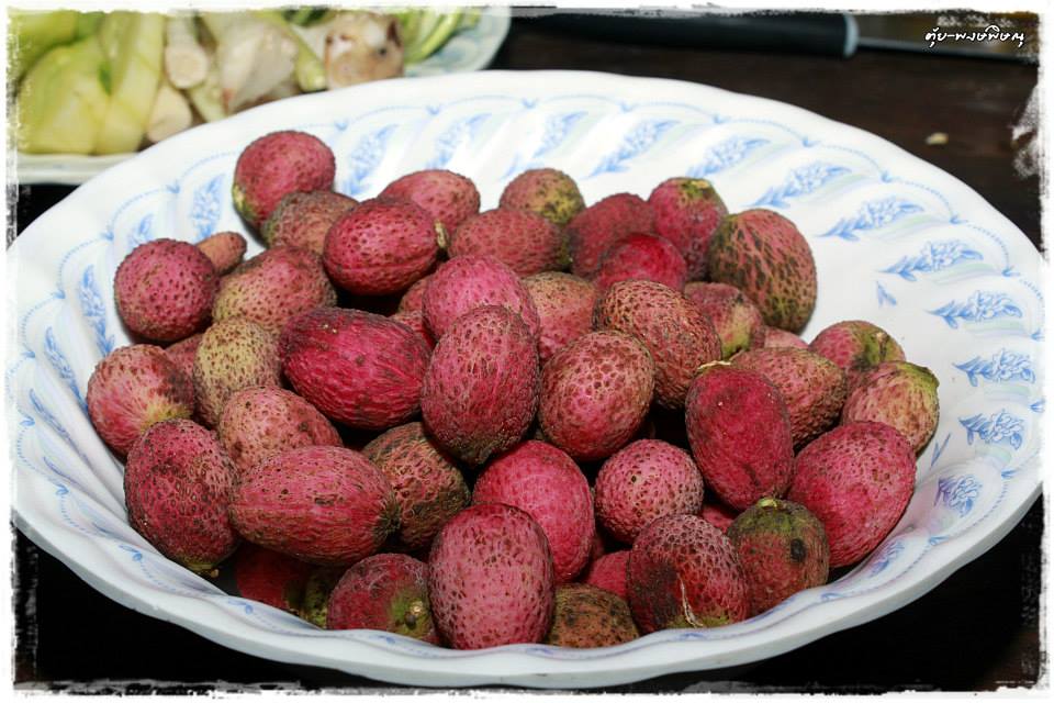 ลิ้นจี่อิสาน+มะม่วงไข่