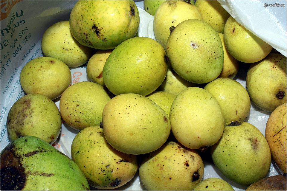 ลิ้นจี่อิสาน+มะม่วงไข่