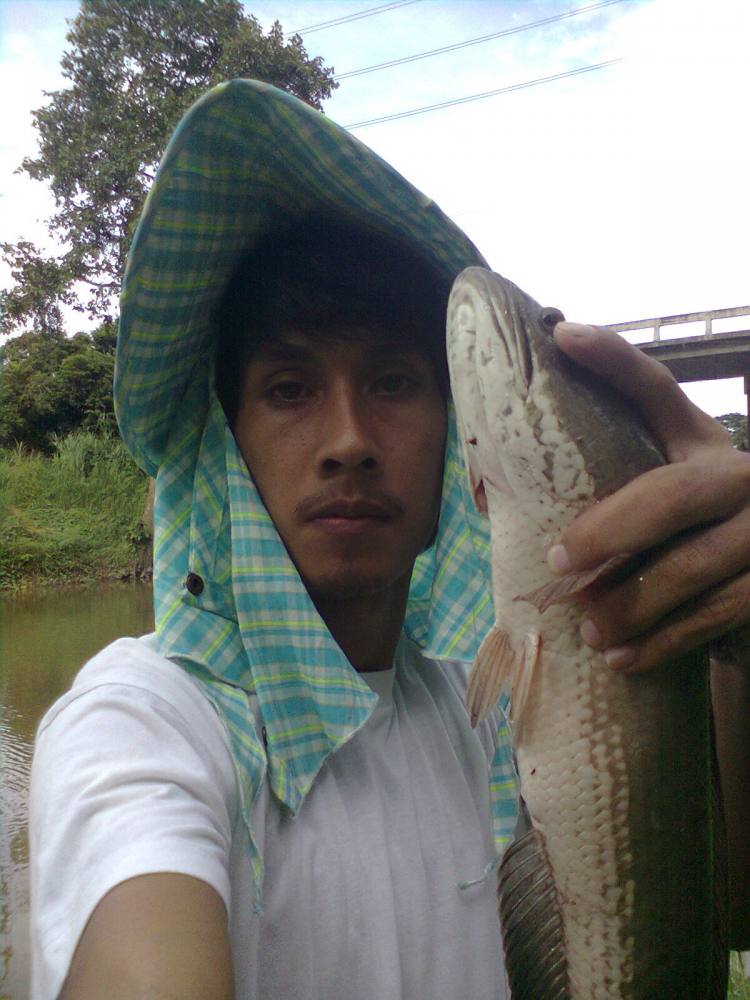 ค้นพบวังปลาช่อนที่เเม่น้ำลพบุรีคับ