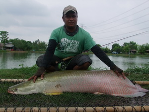 Amazonbkk fishing กับวันว่างๆ