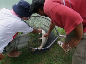 Amazonbkk fishing กับวันว่างๆ