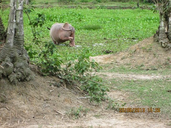 ไปหาฝูงปลาที่ว่ายวน เบื่อๆๆๆๆ ฝูงคนที่วุ่นวาย