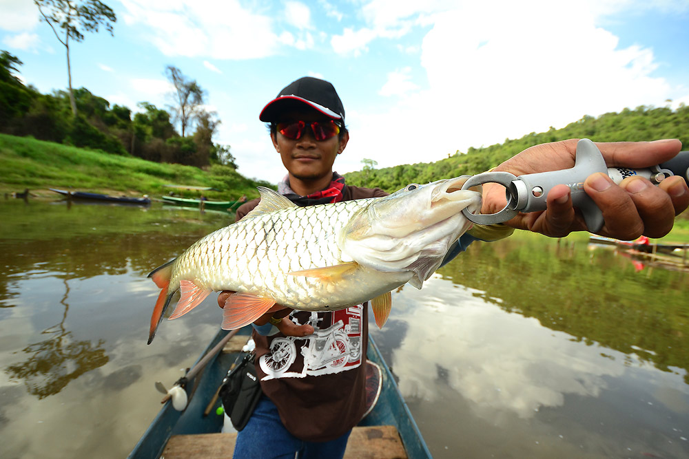 กระสูบ ลำแชะ 