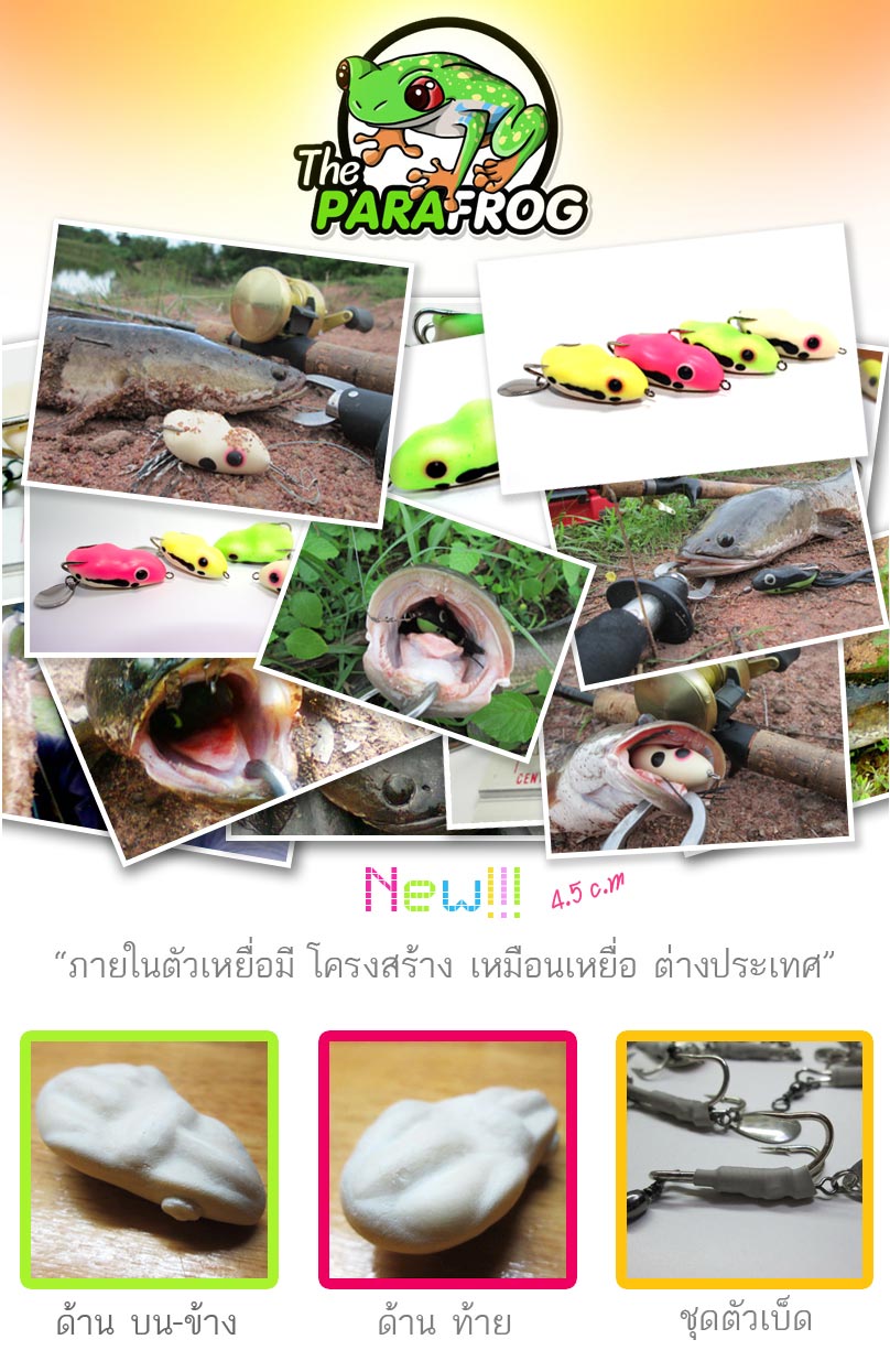 ประกาศผล the para frog