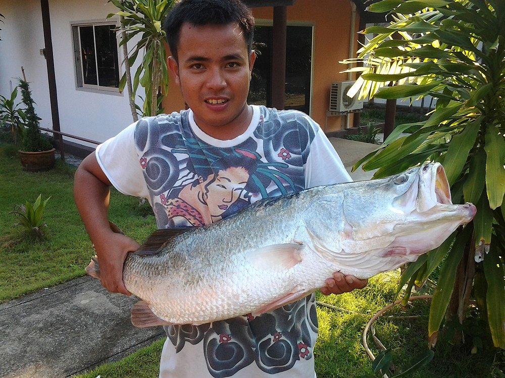 สมาชิกใหม่ ฝากตัวครับ