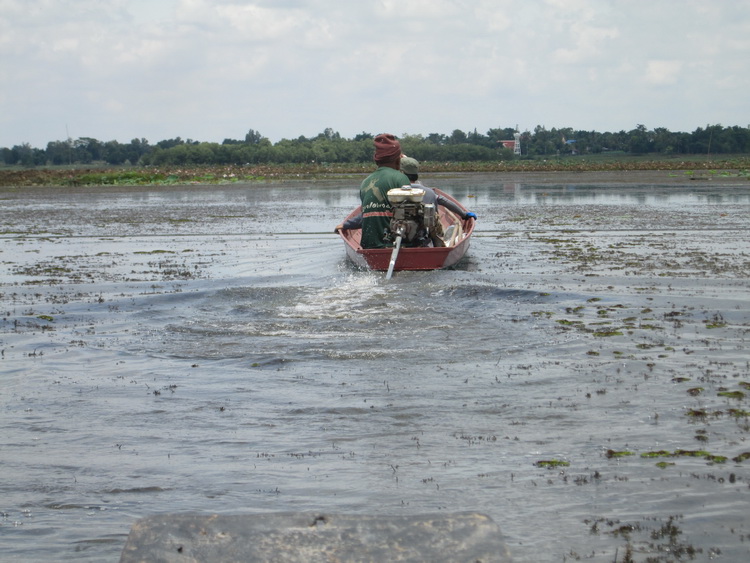 ทริปพิเศษ Tiger Fishing Team