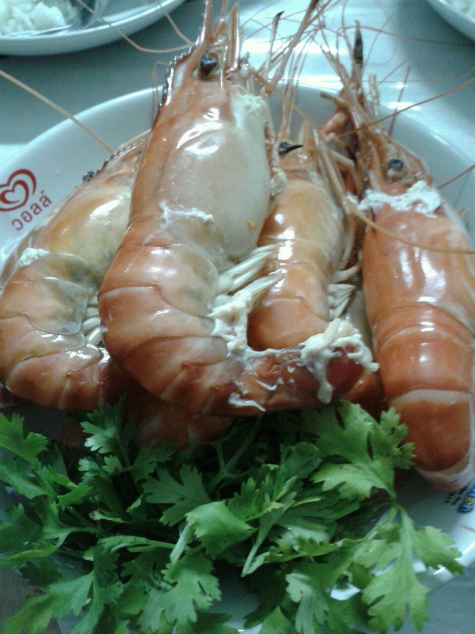 กุ้งนึ่ง นึ่งกุ้ง By Monza