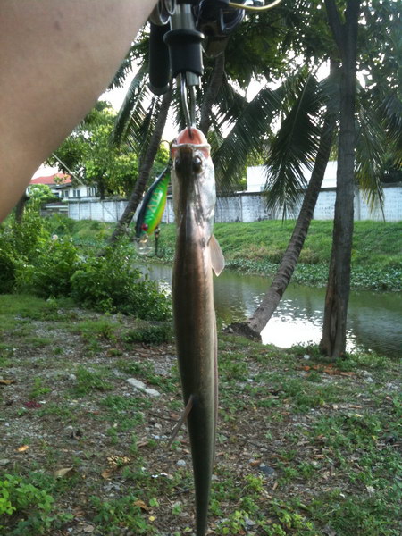 เลิกงานรีบกลับบ้าน หยิบจอบไปหาแห้ว(แต่ไม่แห้ว) 2 ทริปสั้นๆ ^_^