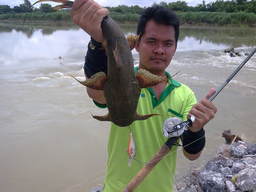 เทสเหยื่อเพื่อนครับ