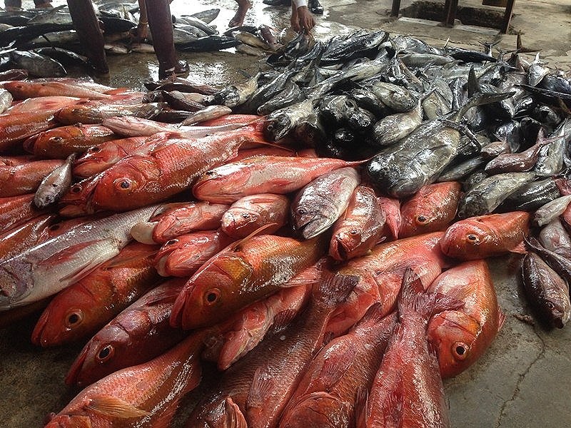 ทริปตกปลากับเรือOC&A @Burma Bank  ประเทศพม่า 2 ทริป ที่ยังว่างครับ 