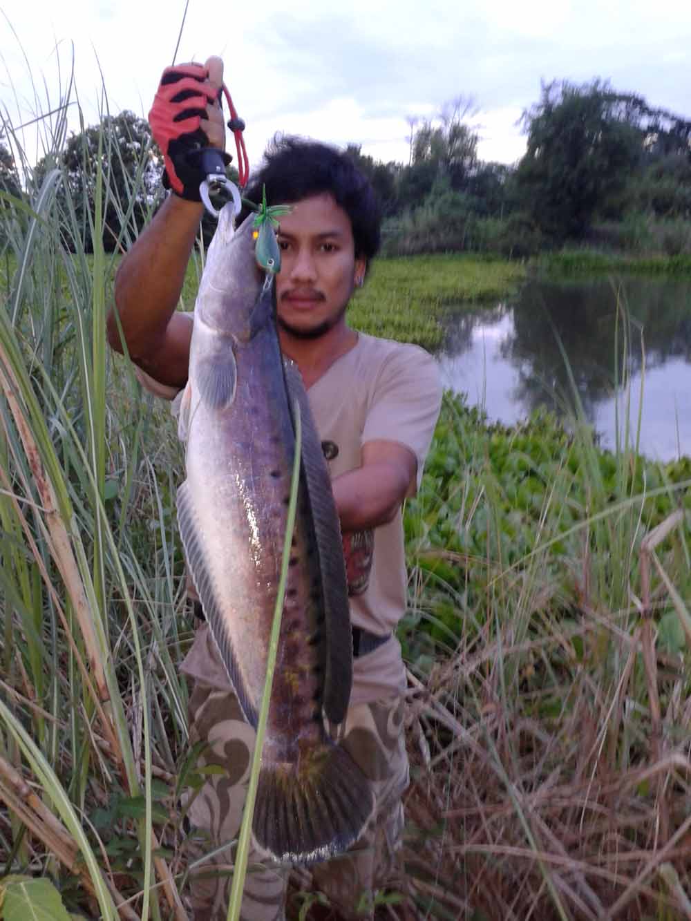 ***เช้า กบ Rut Sn เย็น Rapala Gass Fat Rap***