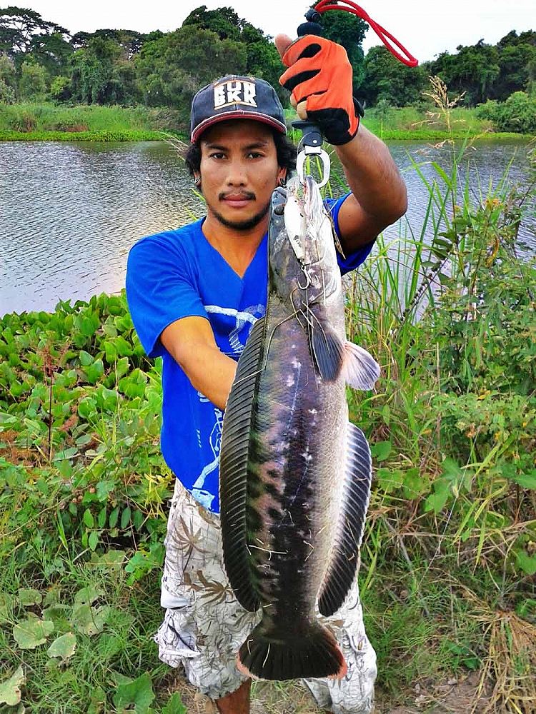 ***เช้า กบ Rut Sn เย็น Rapala Gass Fat Rap***