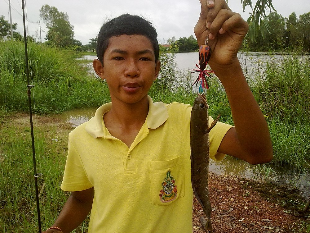 เปิดซิง กบกระโดด Bad Boy หลังจากฝนตกมาหลายวัน