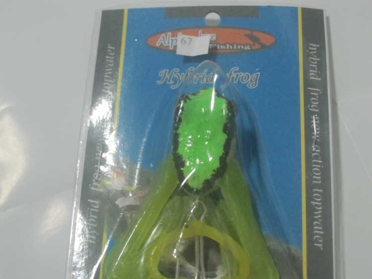 จับแจก กบลูกครึ่งhybrid frog  by alphalurefishing