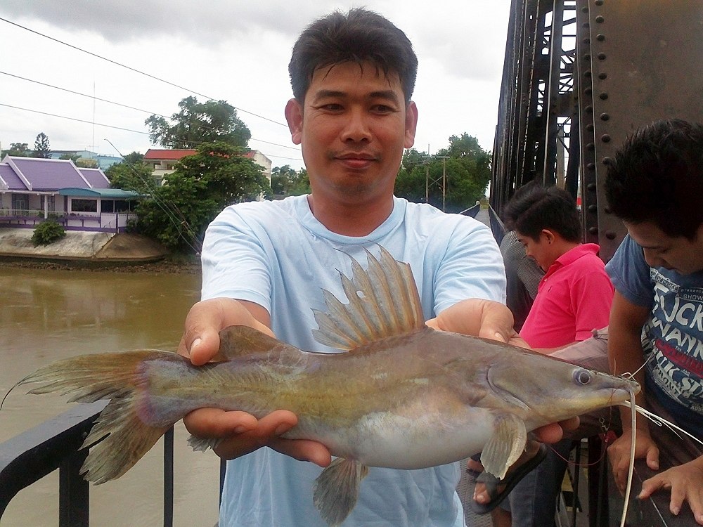 3 สายพันธุ์ @ สะพานดำราชบุรี