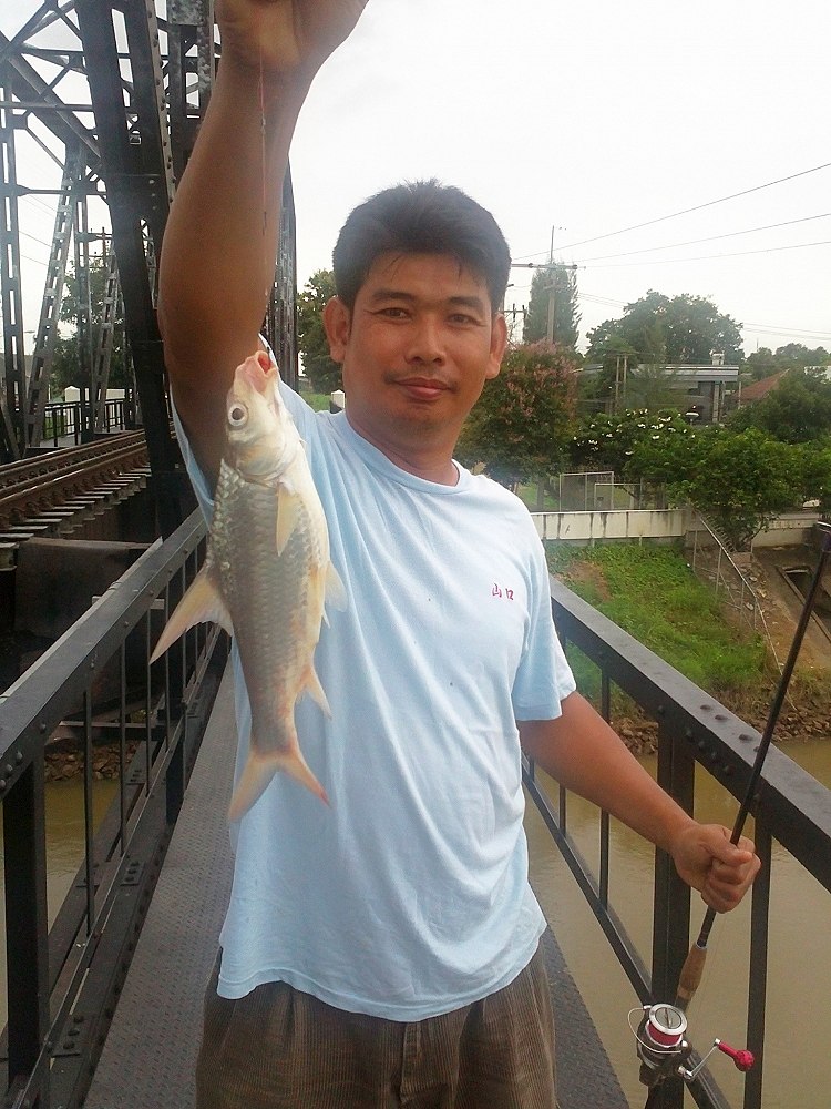 3 สายพันธุ์ @ สะพานดำราชบุรี