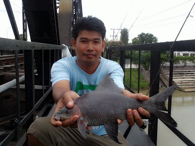 ปลาแดงเสร็จรำ @ สะพานดำ