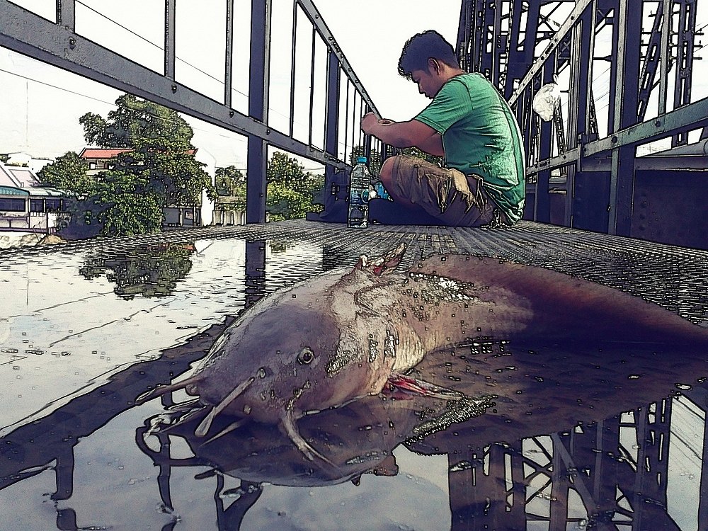 ดุกทะเล @ สะพานดำ